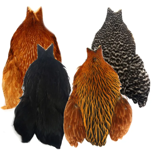 WHALESBACK Hen Capes